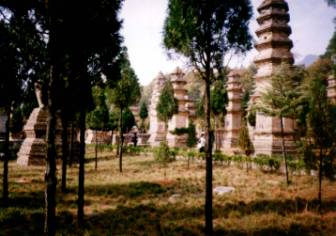 cmentarz   mnichw