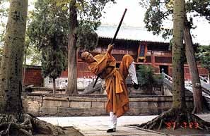 Shaolin Feng Muo Gun